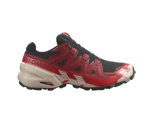 Salomon Speedcross 6 GTX Herre 44 - Lettere Trailsko med Gore-Tex, Sort/Sølv