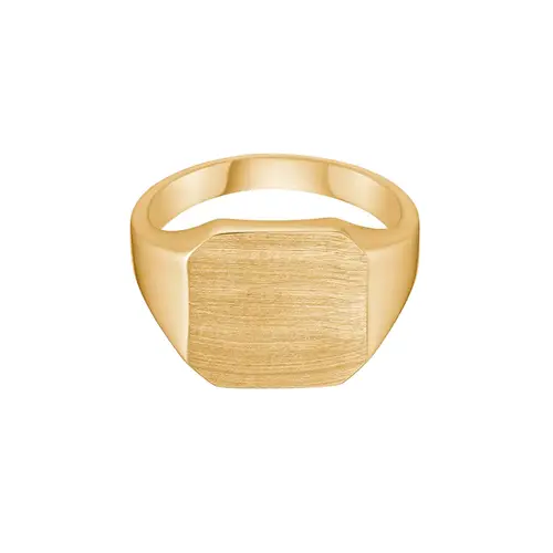 Avilé Jewelry Brushed Signet Ring 18 kt. Forgyldt Sølv DI001-GP-52 - Unisex - 925 sterling silver