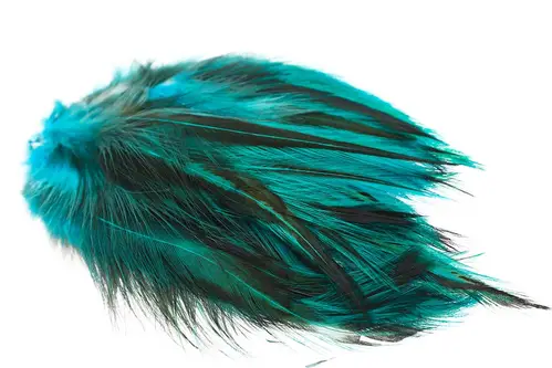 Hane Hackler Badger - Kingfisher Blue