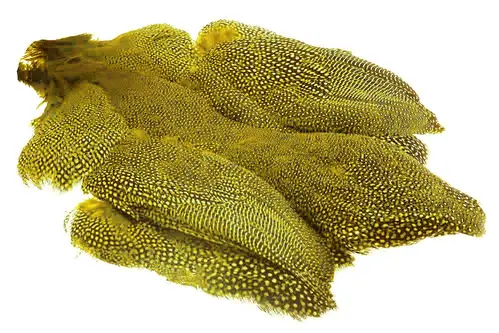 Whiting Perlehøne whole bird - Yellow