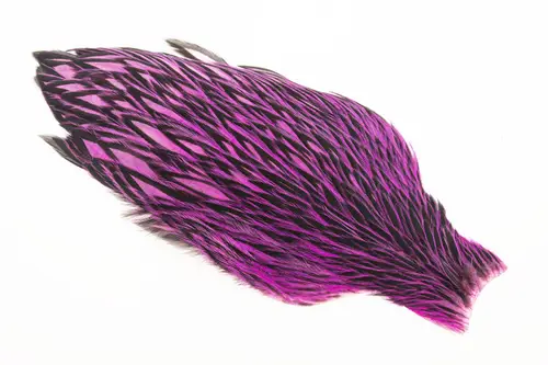 Whiting American Hen Cape Black Laced -  Pink