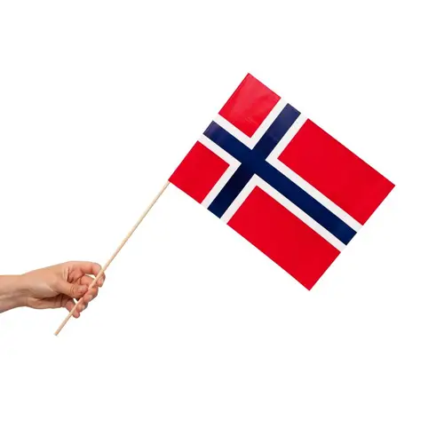 Papirsflag på pind 10 stk. Norge