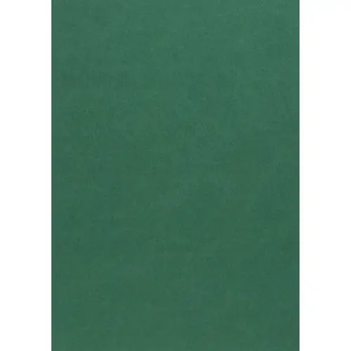 Hobbykarton 10-pak, A4 (210×297 mm), 220 g/m² – mørkegrøn