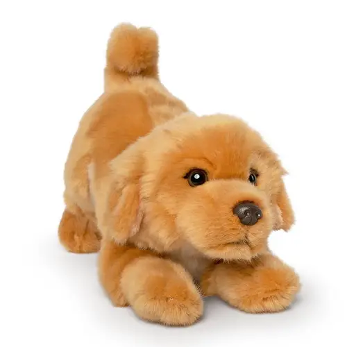 Krammedyr Golden retriever – den legesyge hvalp