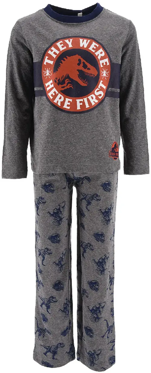 Jurassic World Pyjamas, Grey, 3 år