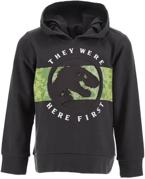 Jurassic World Capuche Hættetrøje, Dark Grey, 3 år