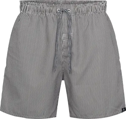 Firefly Sea Stripe Badeshorts Herre Grøn