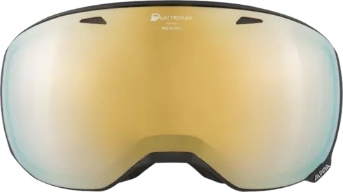 Alpina Big Horn Q Skibrille (Farve: Sort, Størrelse: One Size)