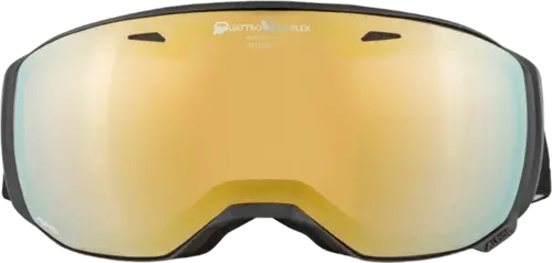 Alpina Estetica Qv Skibrille (Farve: Sort, Størrelse: One Size)